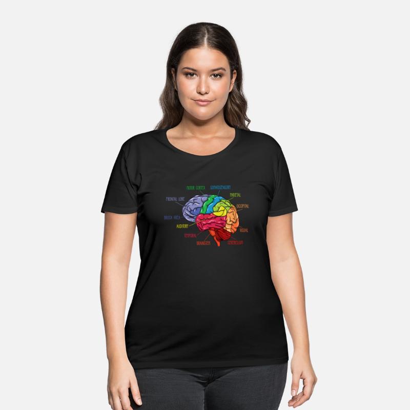 Anatomy Of The Brain Neurologist