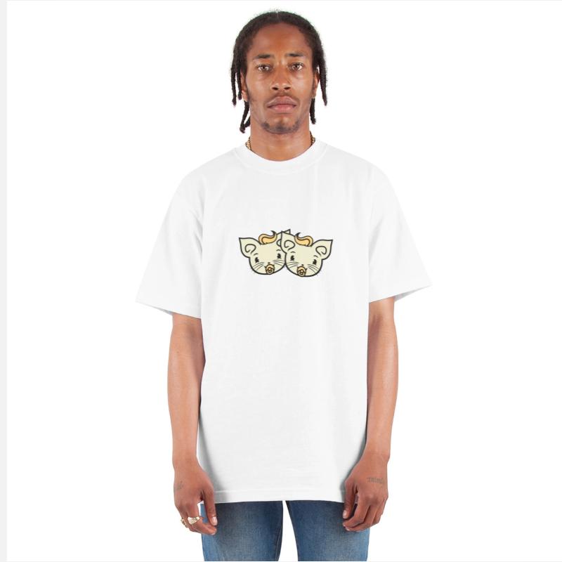 2 Pacifier Cats Two Cute Baby Siblings Twins Face