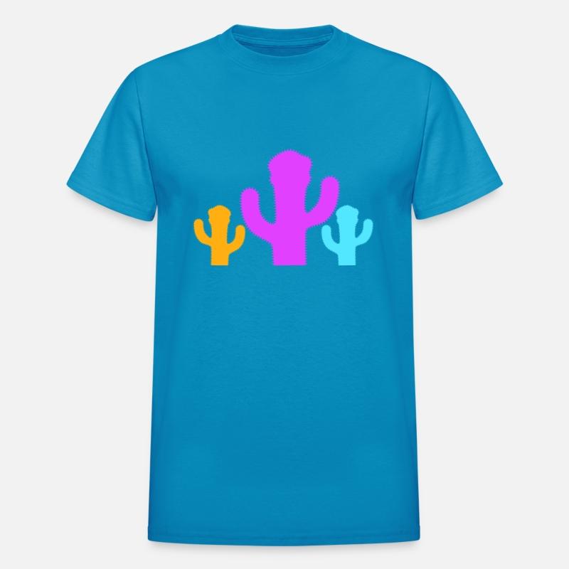 3 Colorful Cacti Three Cactus Prickly Desert Plant