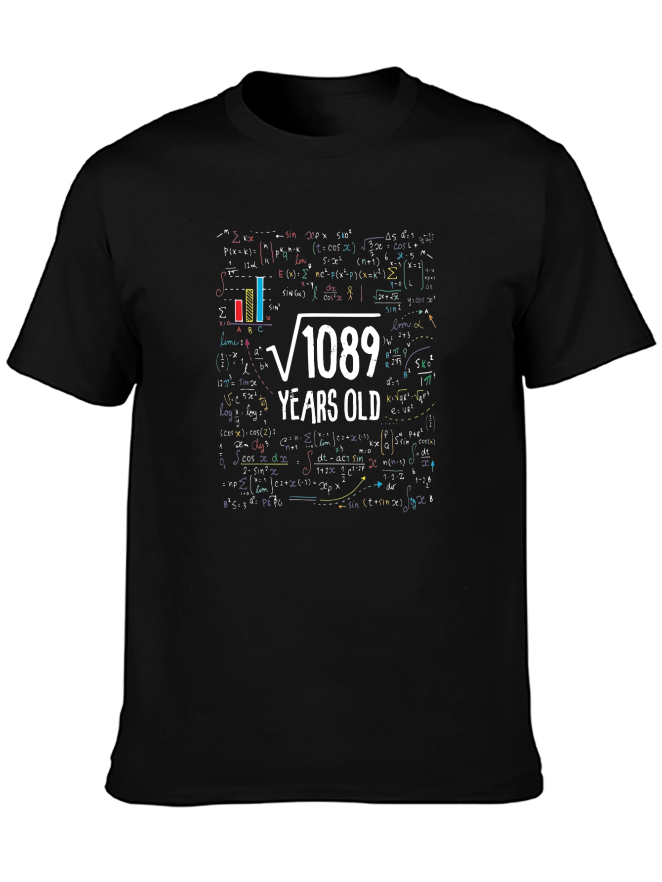 Math Formula 33rd Birthday T-Shirt