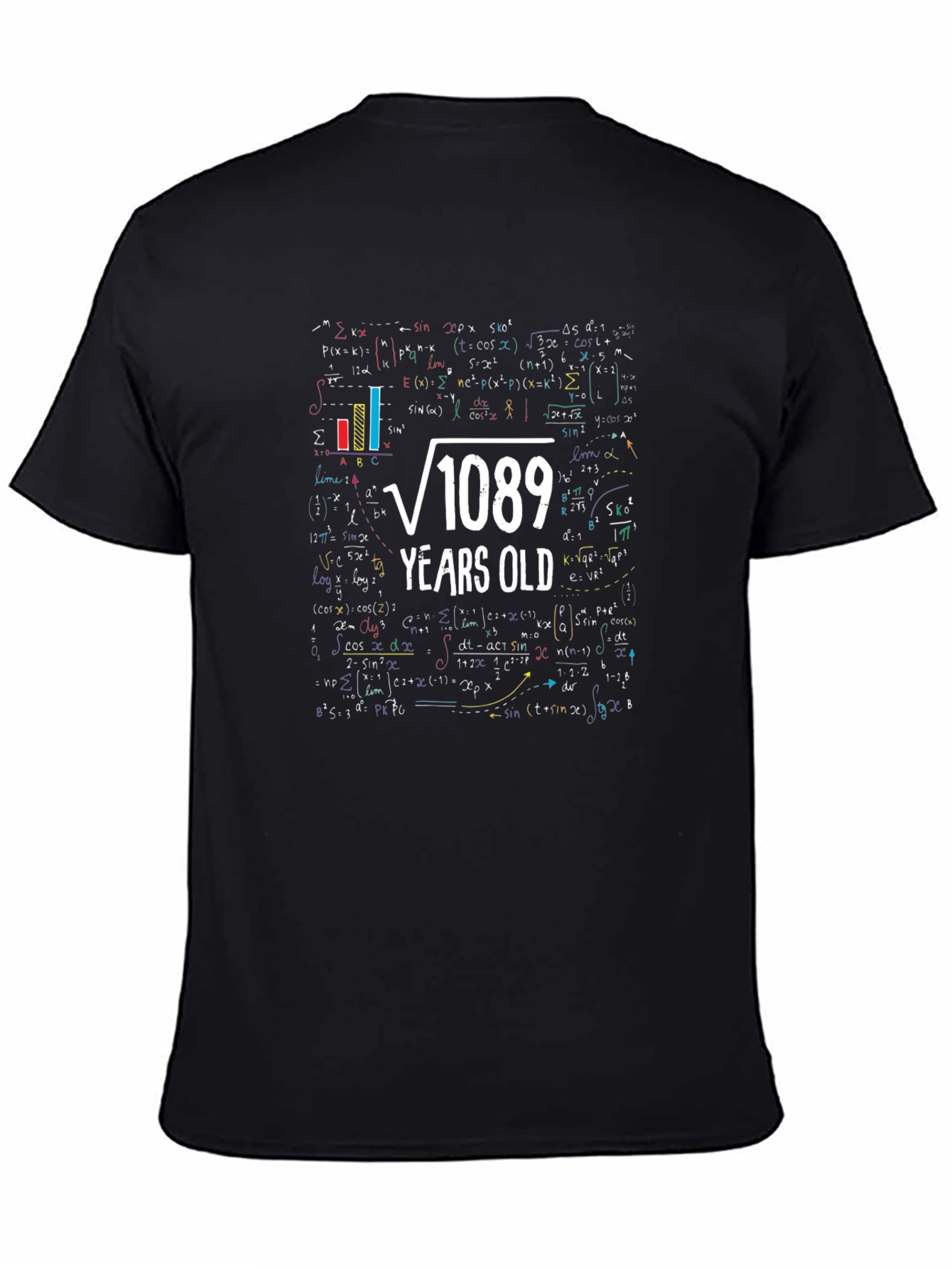 Math Formula 33rd Birthday T-Shirt