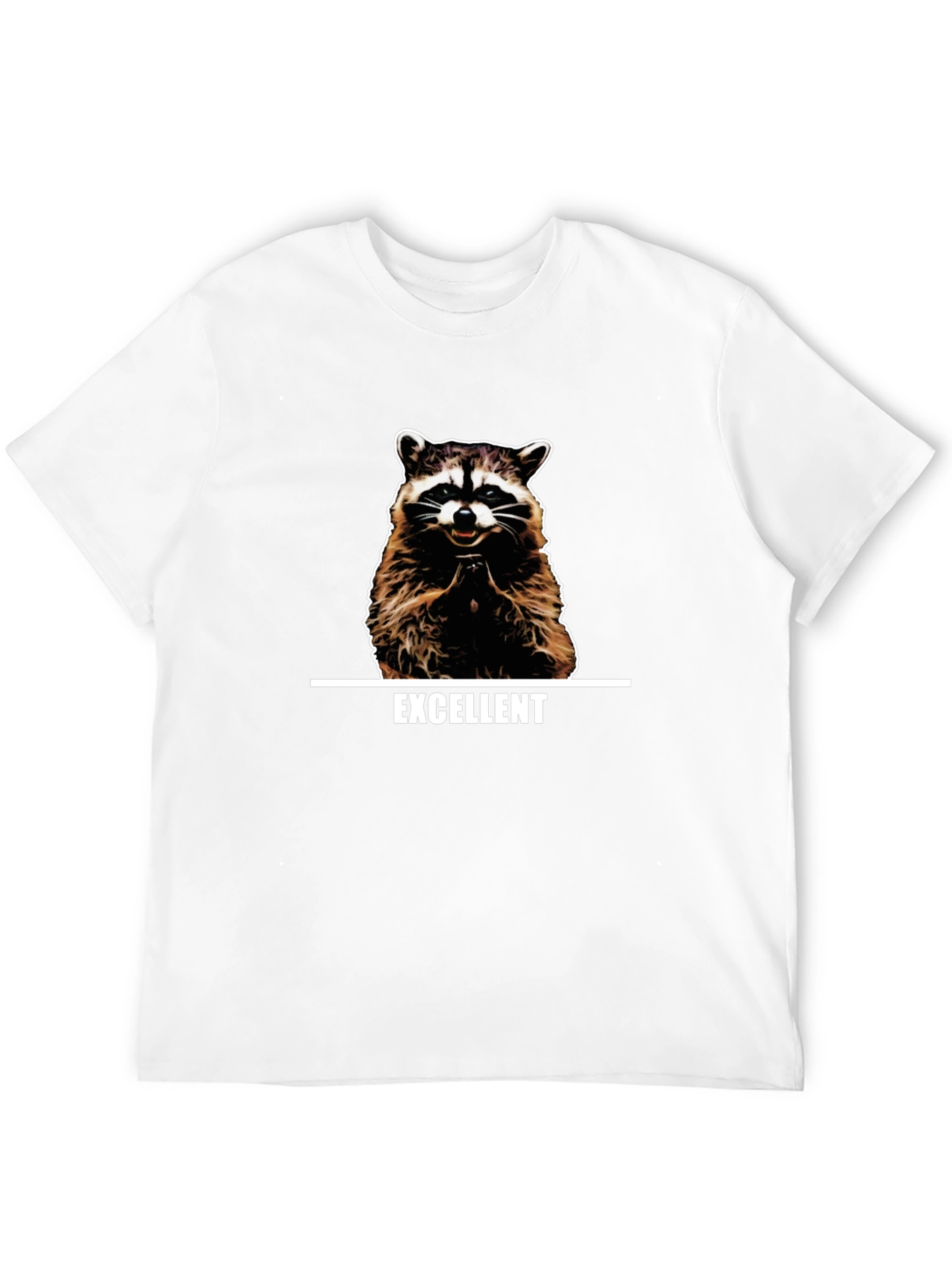 Excellent Raccoon Graphic T-Shirt