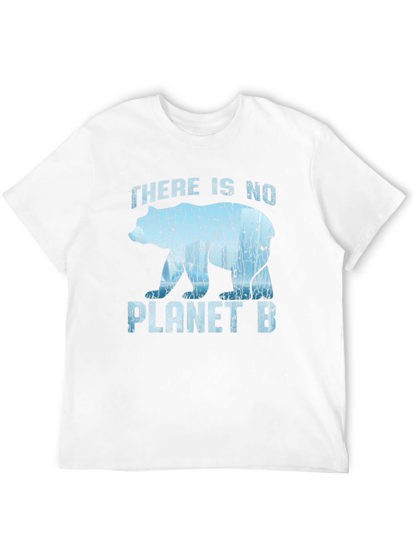 There Is No Planet B Graphic T-Shirt