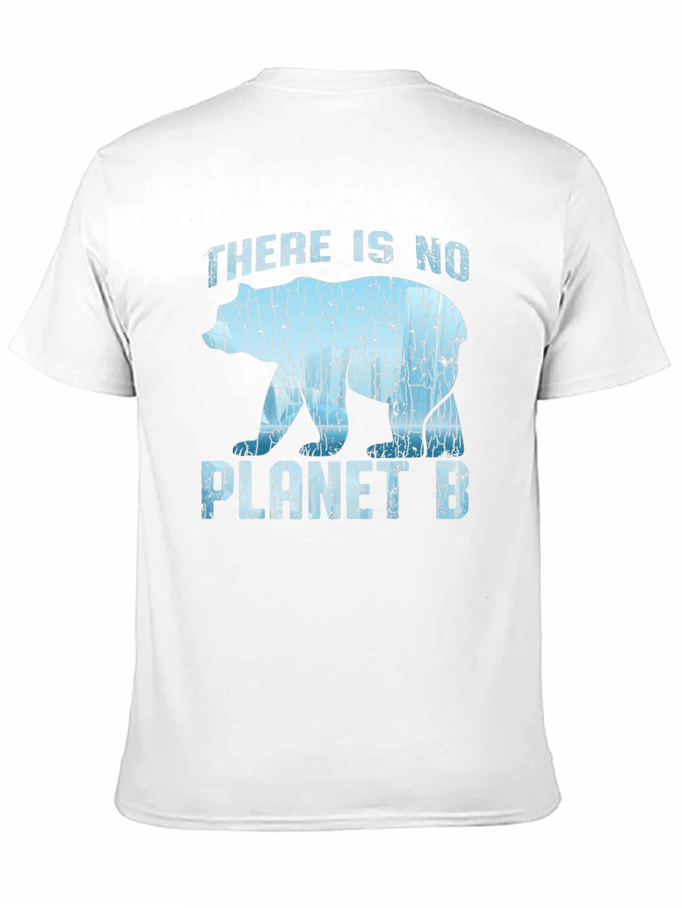 There Is No Planet B Graphic T-Shirt