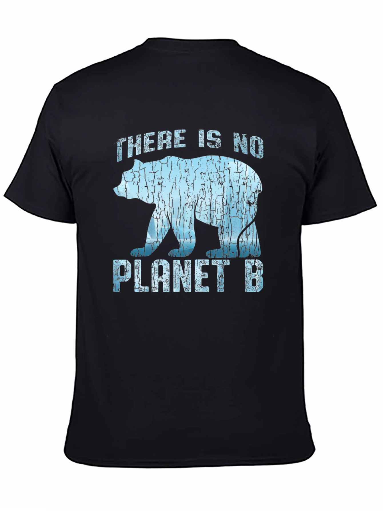 There Is No Planet B Graphic T-Shirt