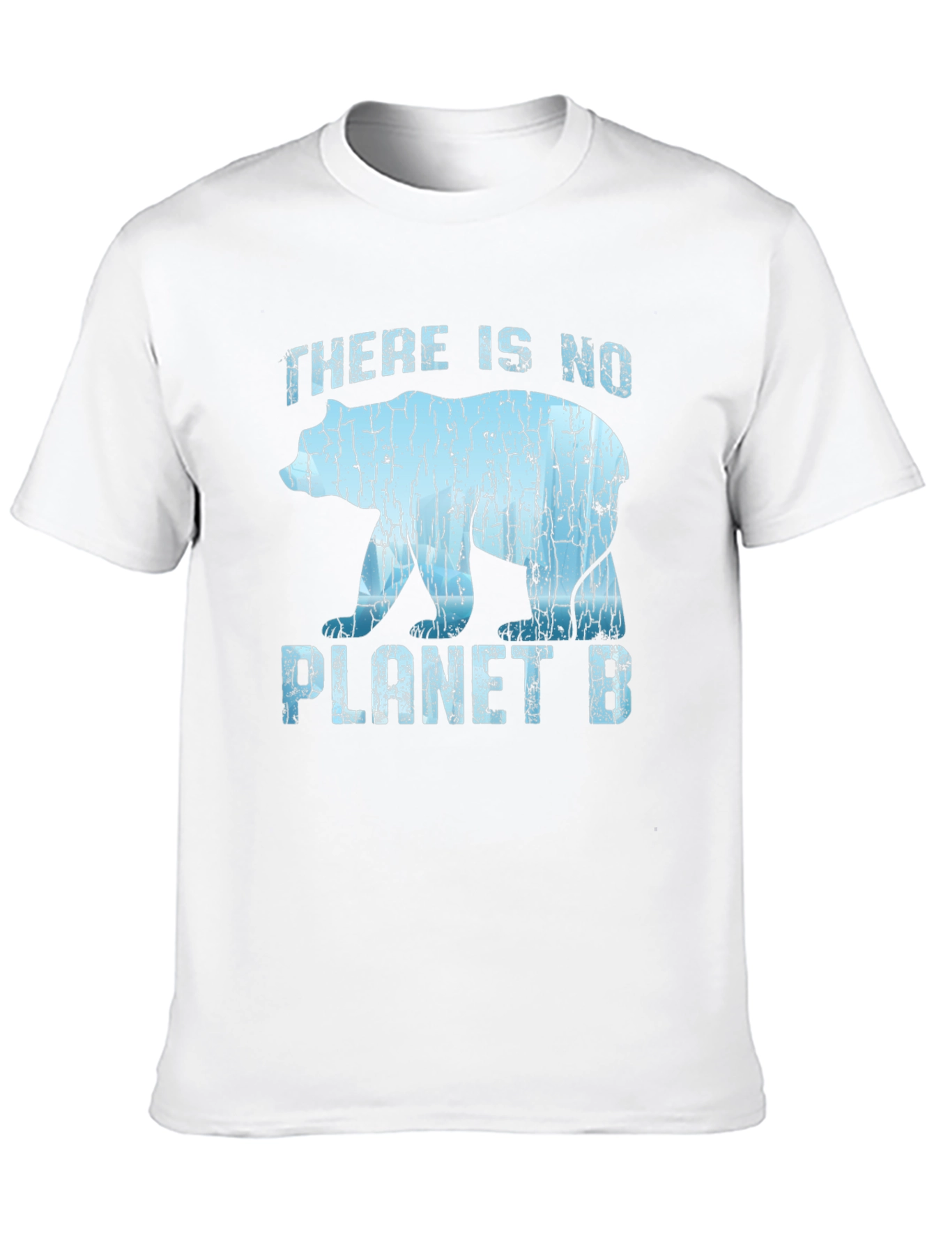 There Is No Planet B Graphic T-Shirt