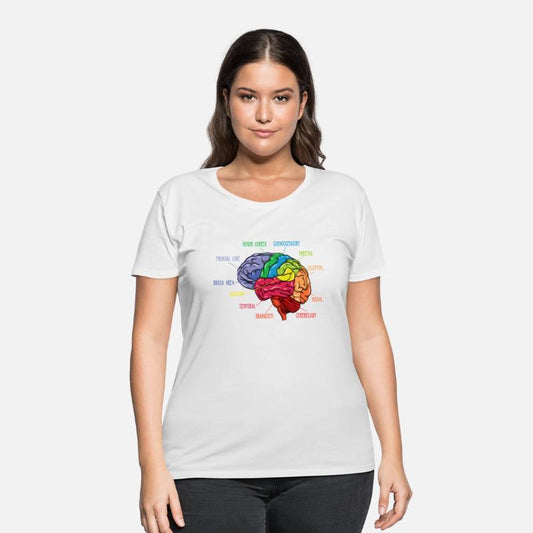 Anatomy Of The Brain Neurologist