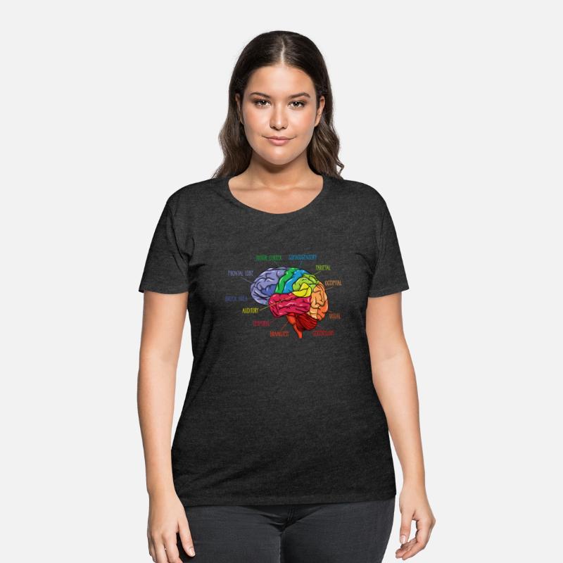 Anatomy Of The Brain Neurologist