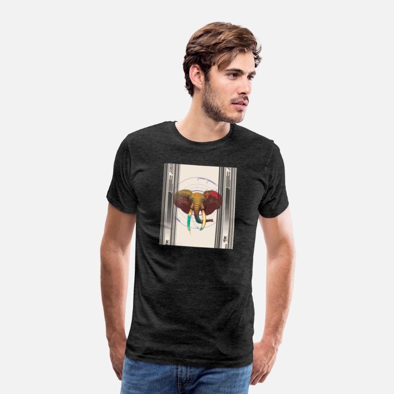 Elephant Splash