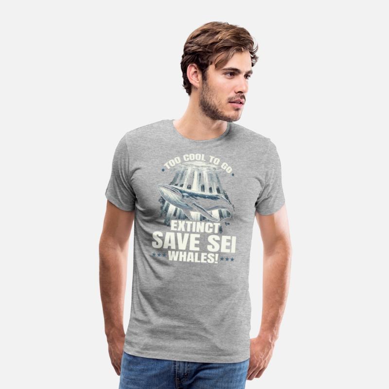 Endangered Species Sei Whale Animal Rights