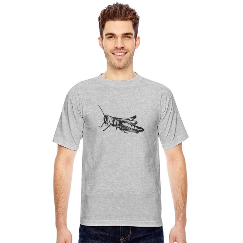 Grasshopper