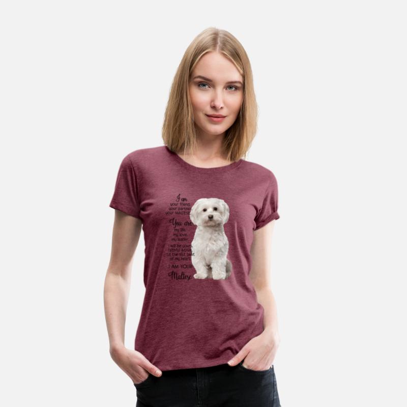 I Am Your Friend Your Partner Your Maltese