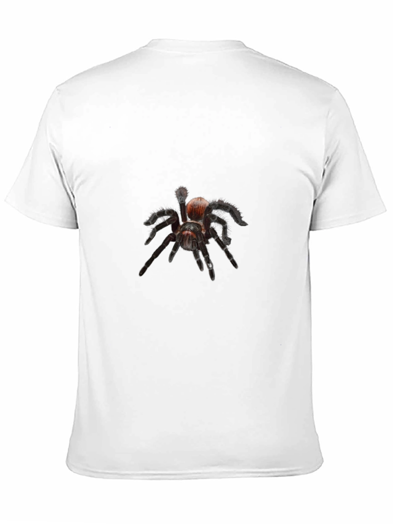 Tarantula Graphic Tee - Spider Lovers T-Shirt