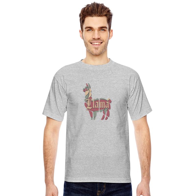 Llama’s Calmness and Charm