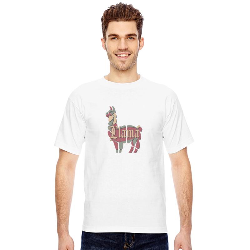 Llama’s Calmness and Charm