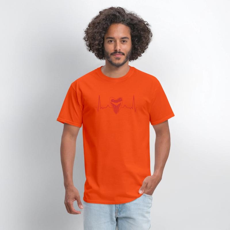 Megalodon Teeth Collector Shark