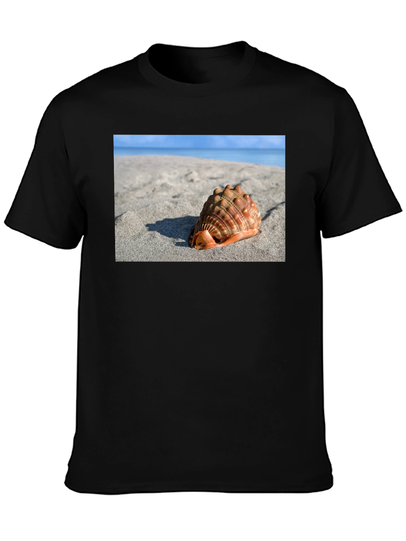 Seashell Beach Graphic Tee - Coastal Style