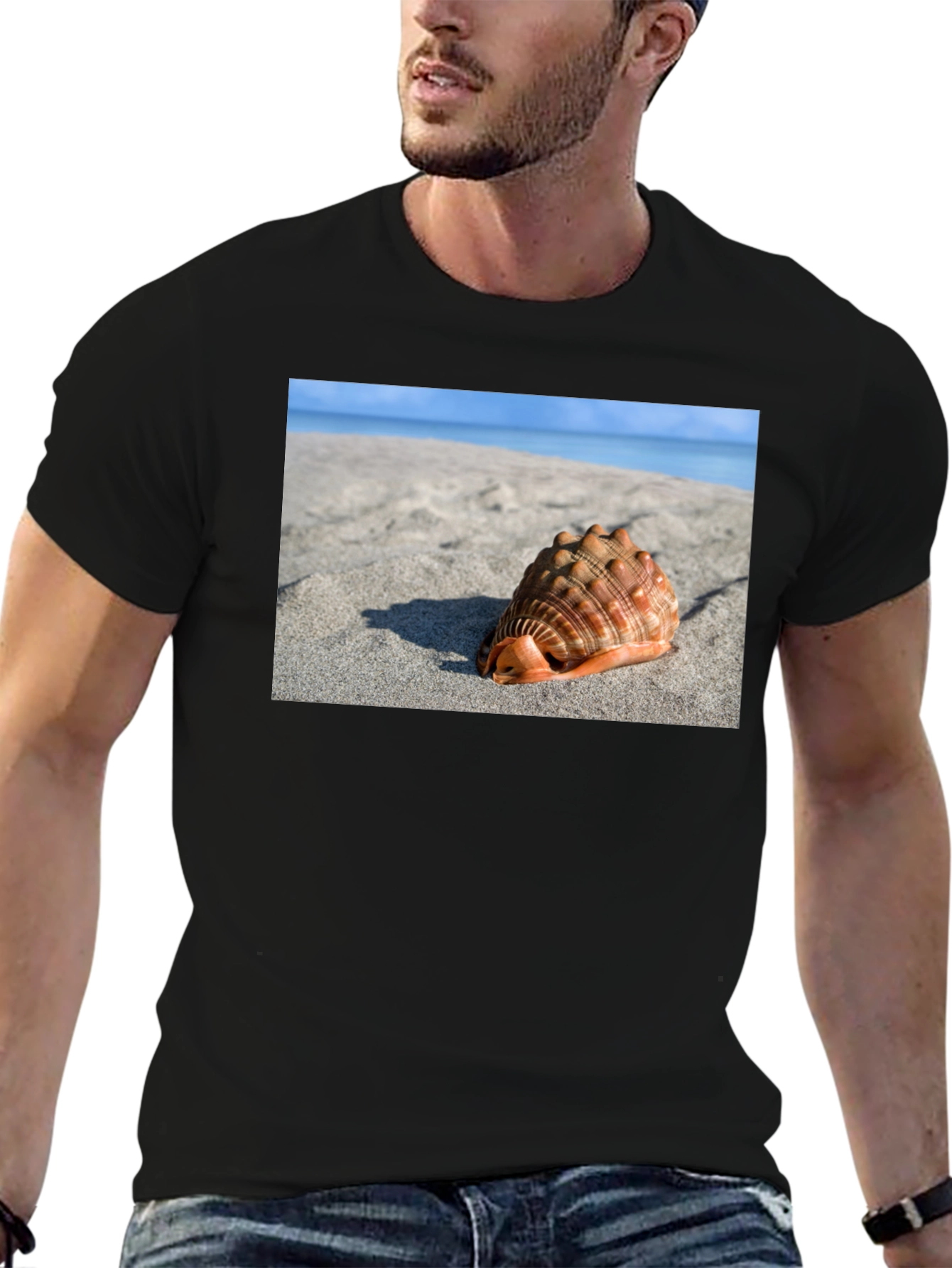Seashell Beach Graphic Tee - Coastal Style