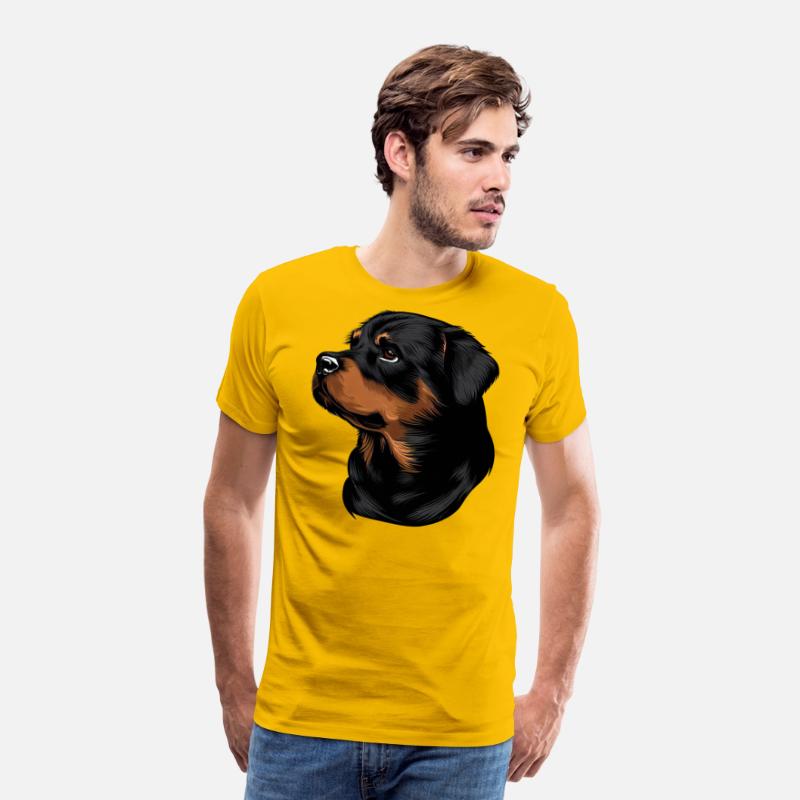 ROTTWEILER DRAWING PETS DOGS CANINE ANIMALS ART