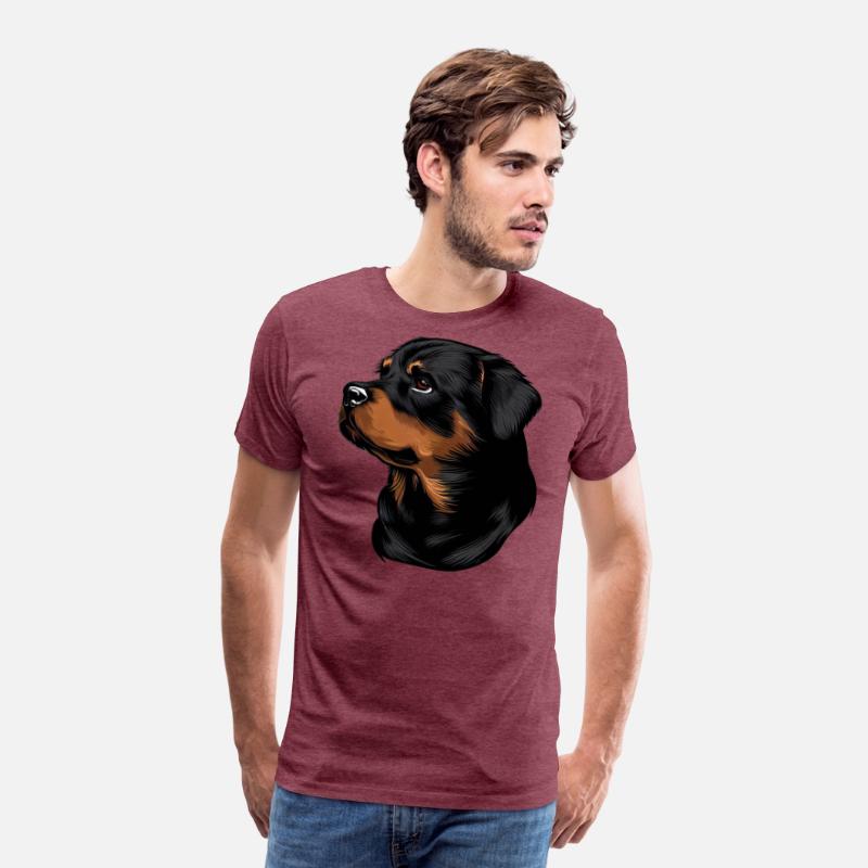 ROTTWEILER DRAWING PETS DOGS CANINE ANIMALS ART