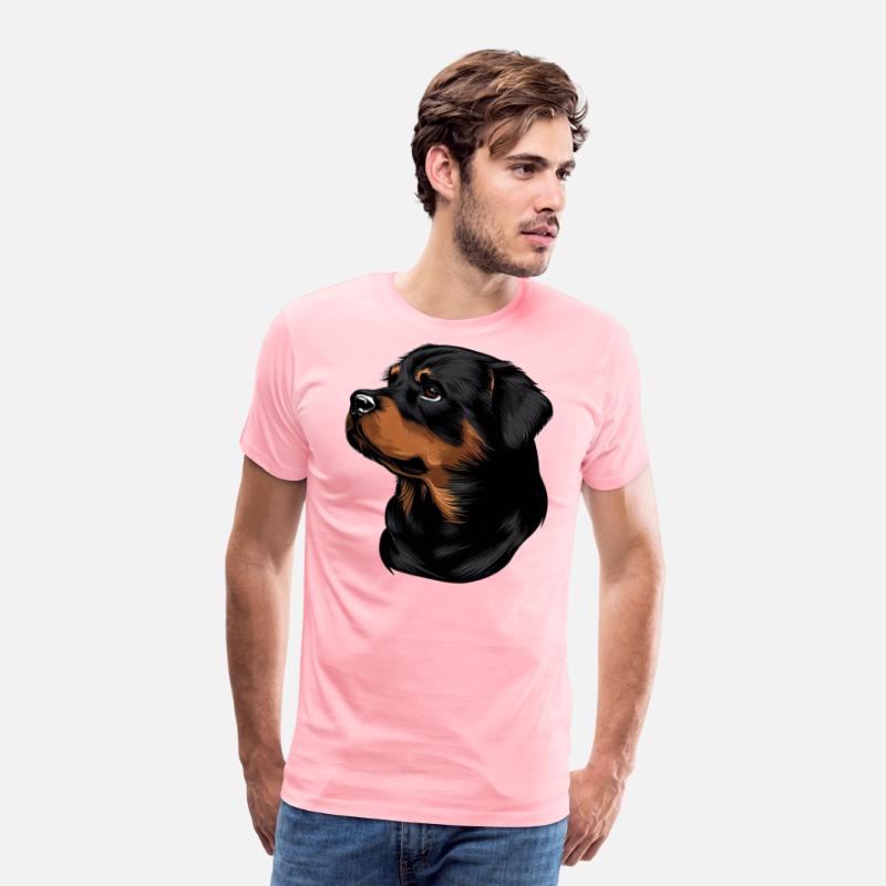 ROTTWEILER DRAWING PETS DOGS CANINE ANIMALS ART