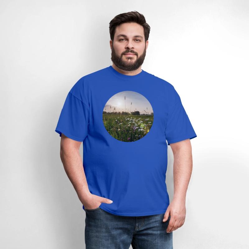 Sunny natural landscape with flowers