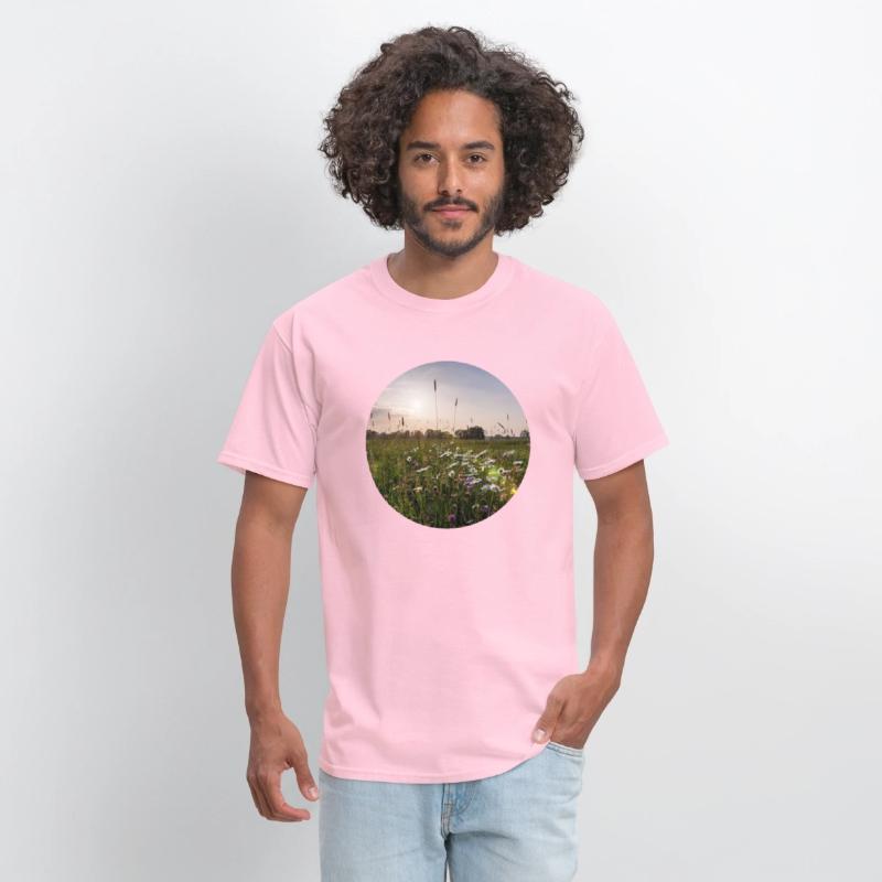 Sunny natural landscape with flowers