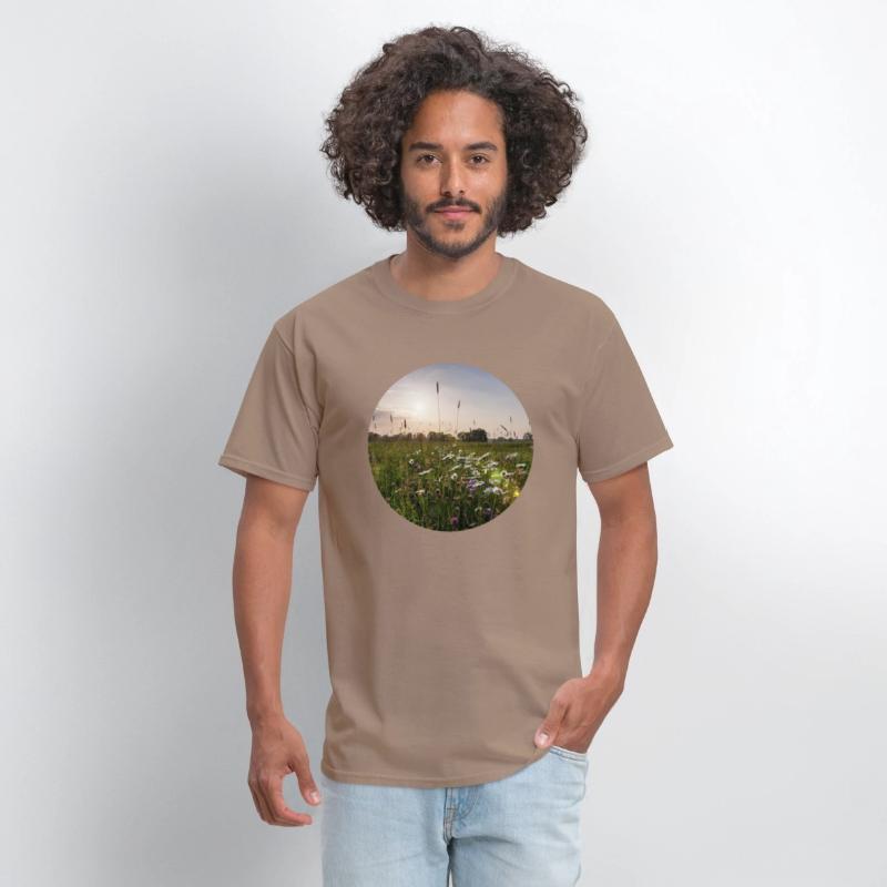 Sunny natural landscape with flowers