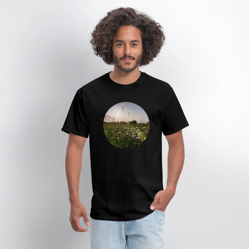 Sunny natural landscape with flowers