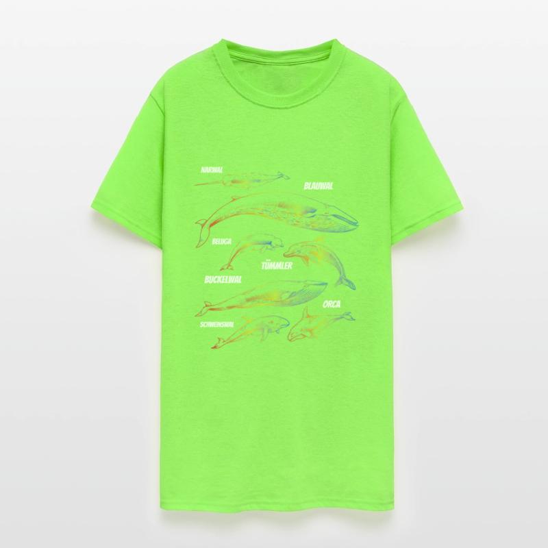 Whale Species Blue Whale Sea Marine