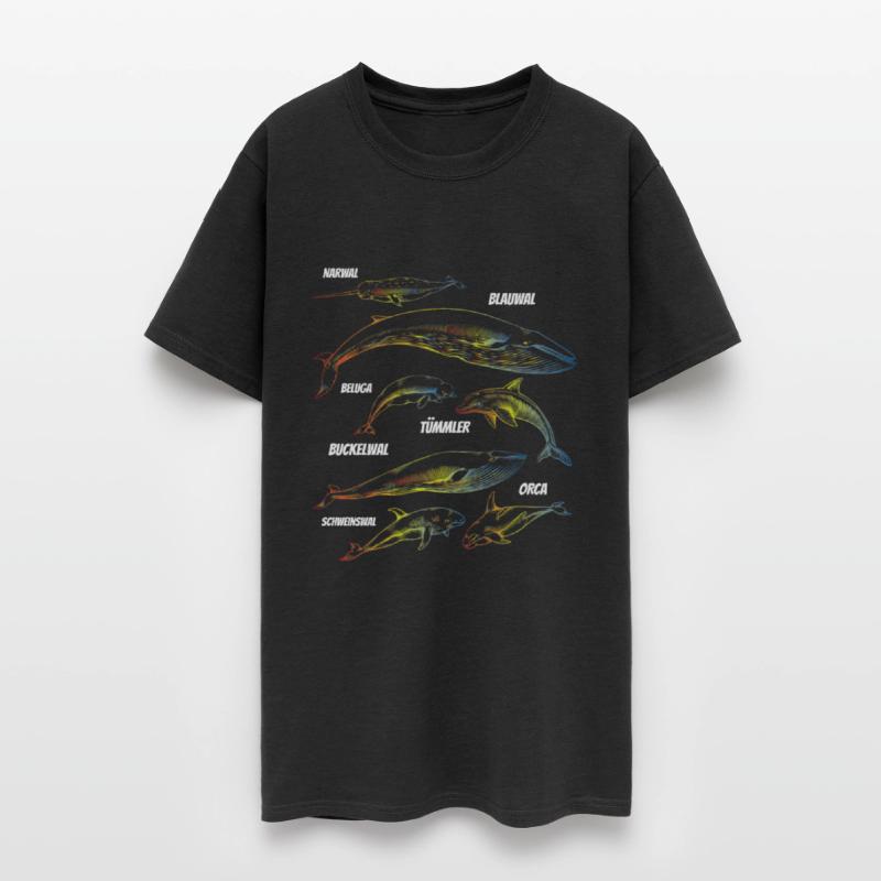 Whale Species Blue Whale Sea Marine